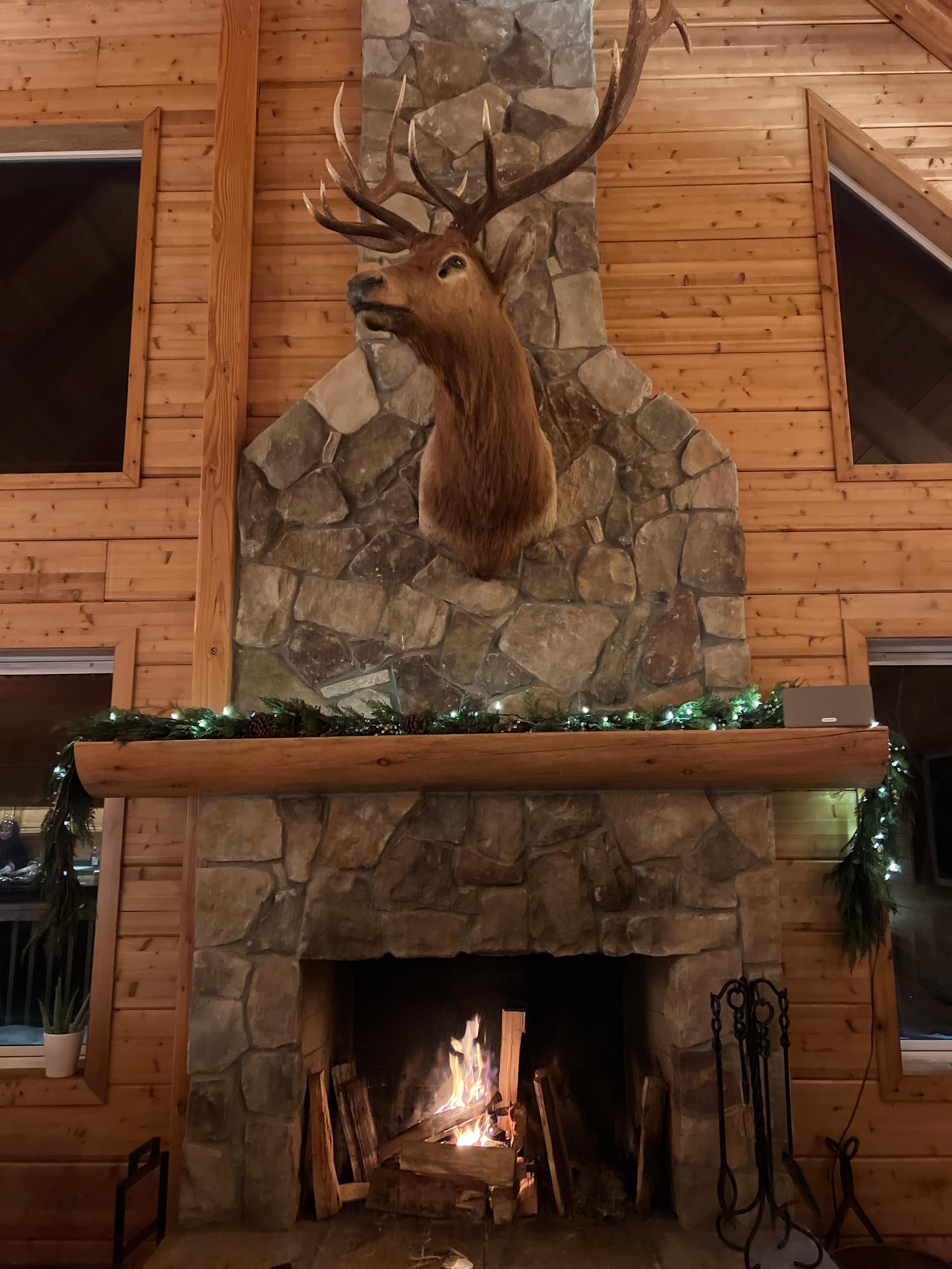 Fire place was a cozy spot to hang out.  