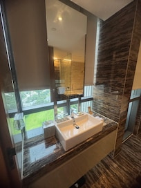 Grade salle de bain vitrée