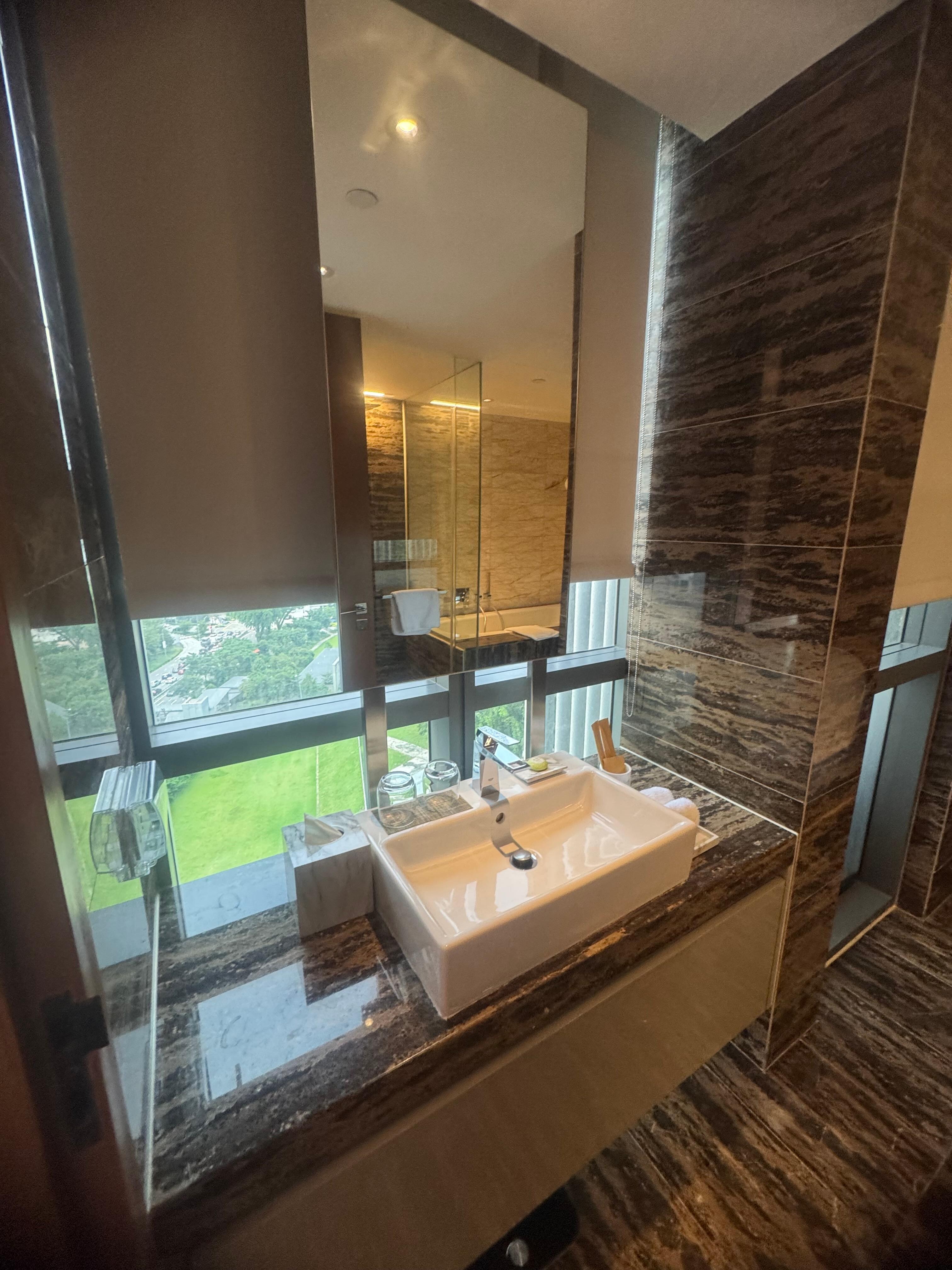 Grade salle de bain  vitrée 