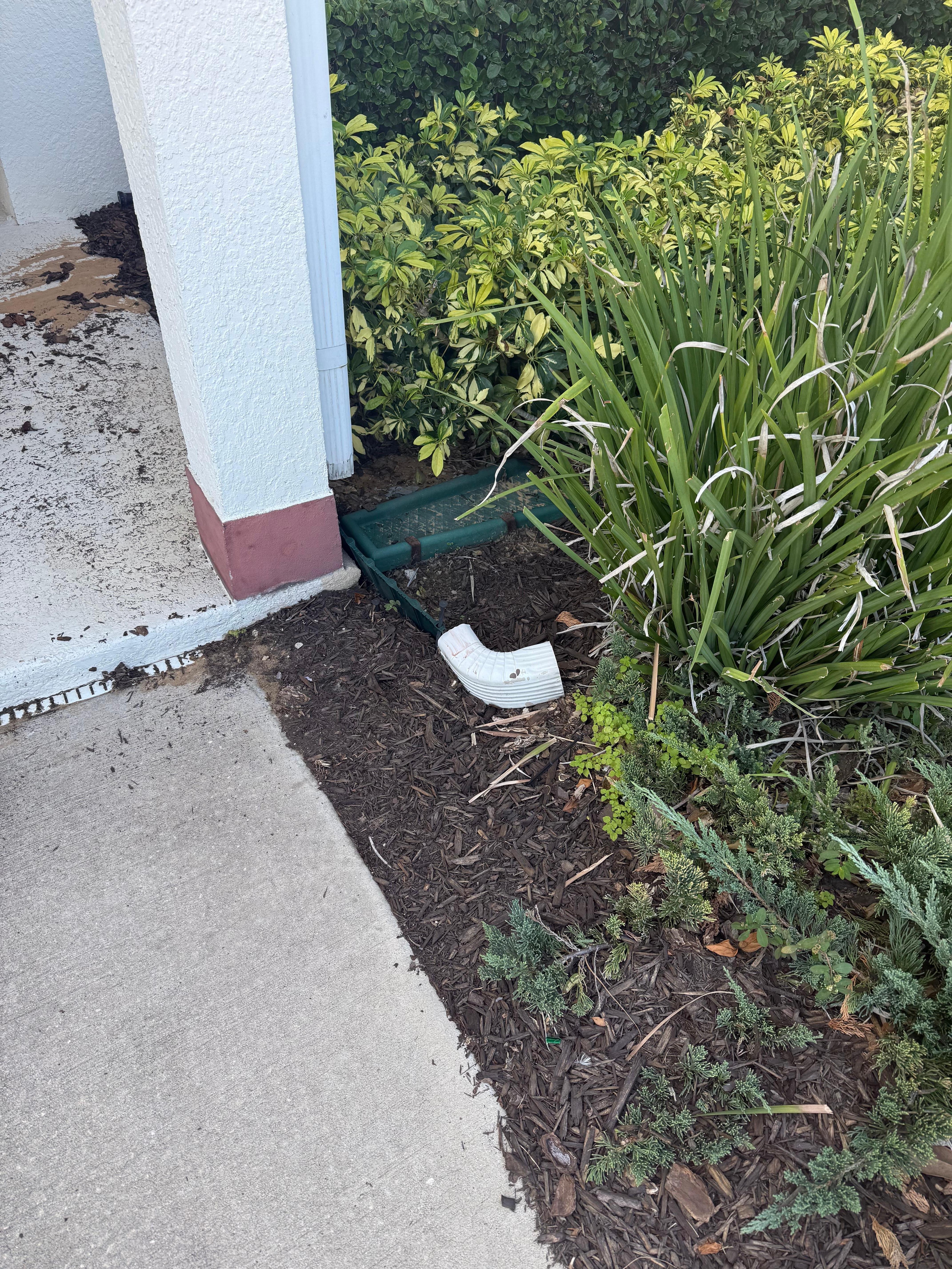Gutter Pipe In Front Yard