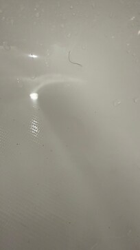 We decided not to shower due to all the hairs and the outer stain on the tub.