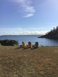 The spot