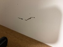 Scuff marks on wall
