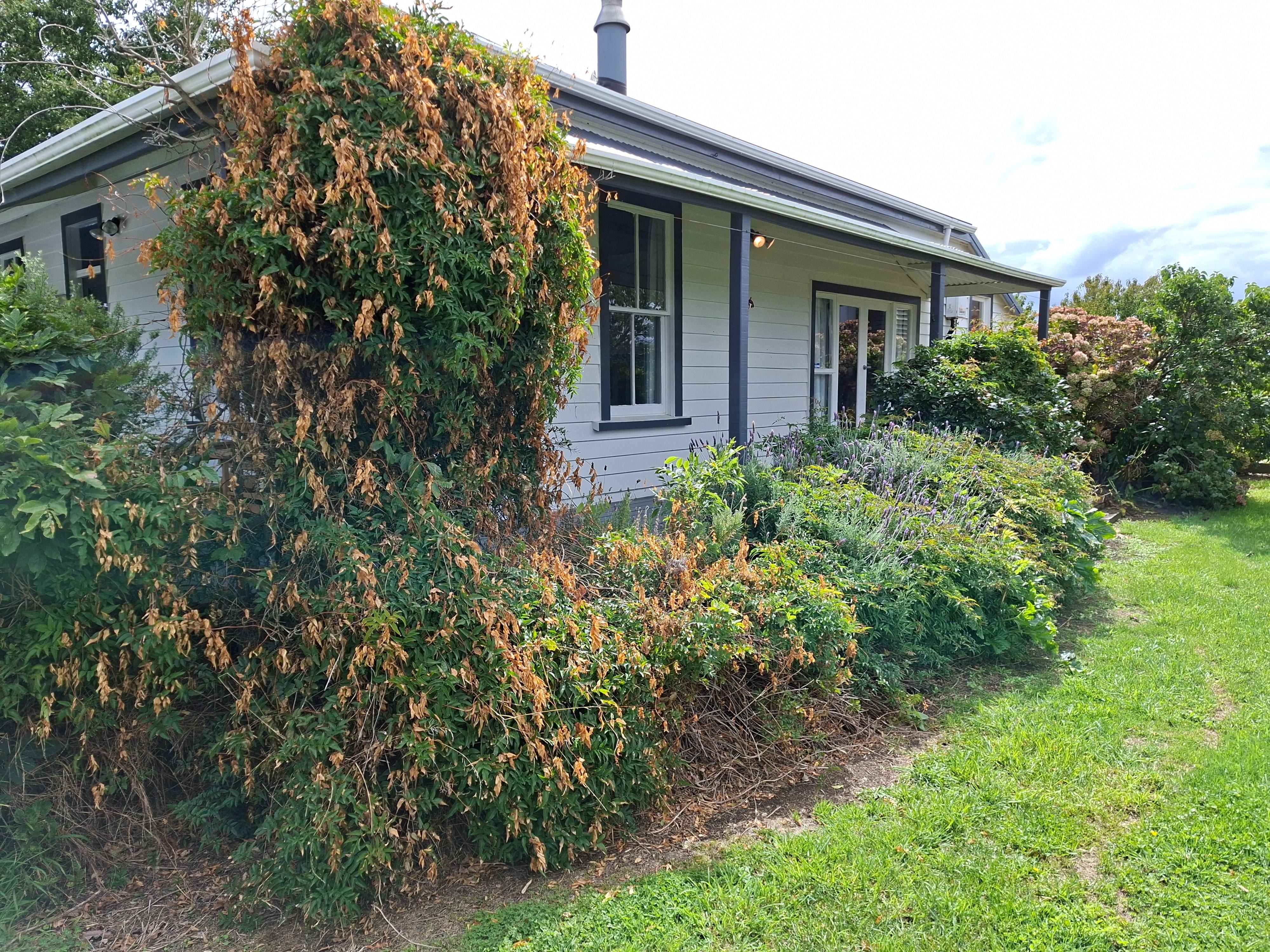 Front grass area parking