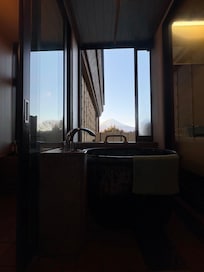 In room bathroom views