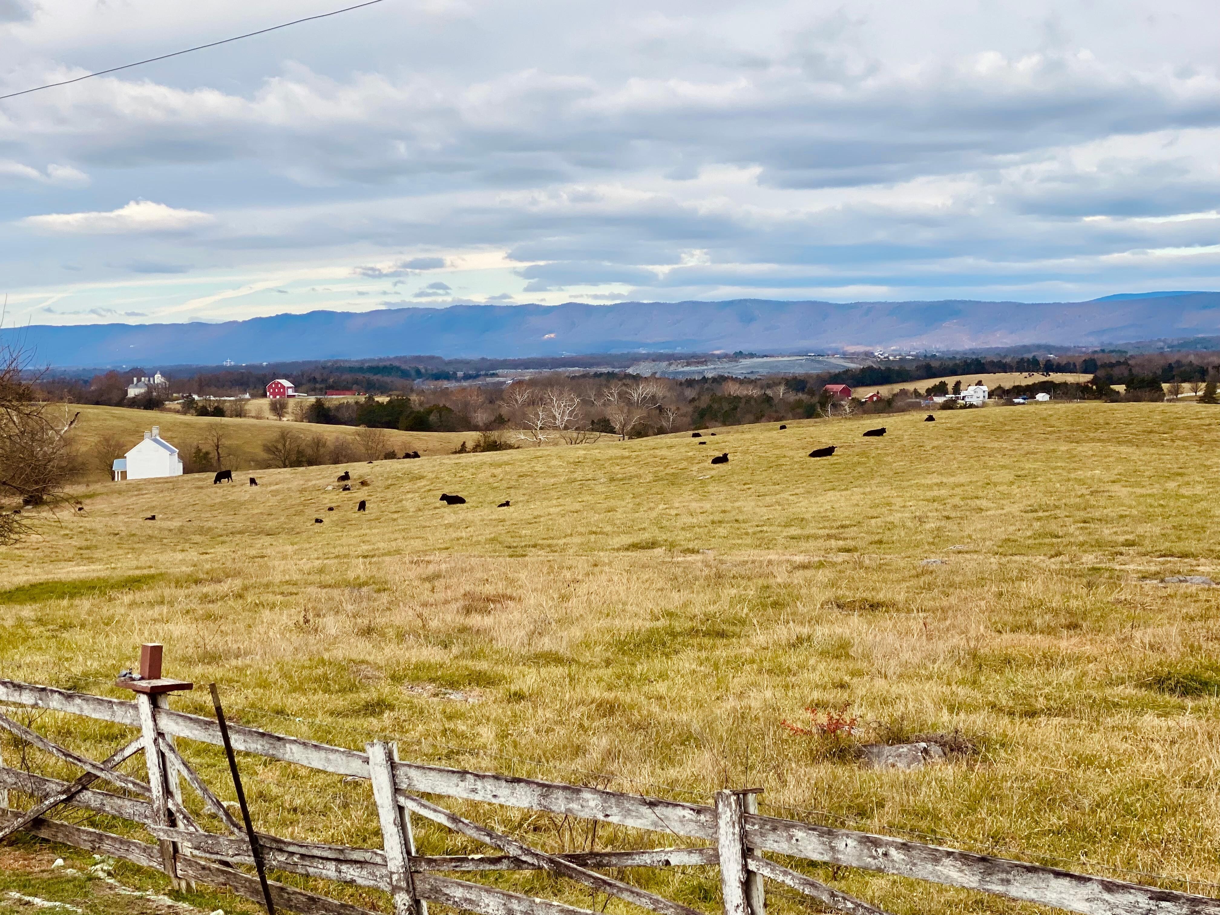 View from the backyard overlooking an old battlefield 