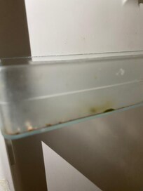 Kühlschrank
Einfach ekelhaft
