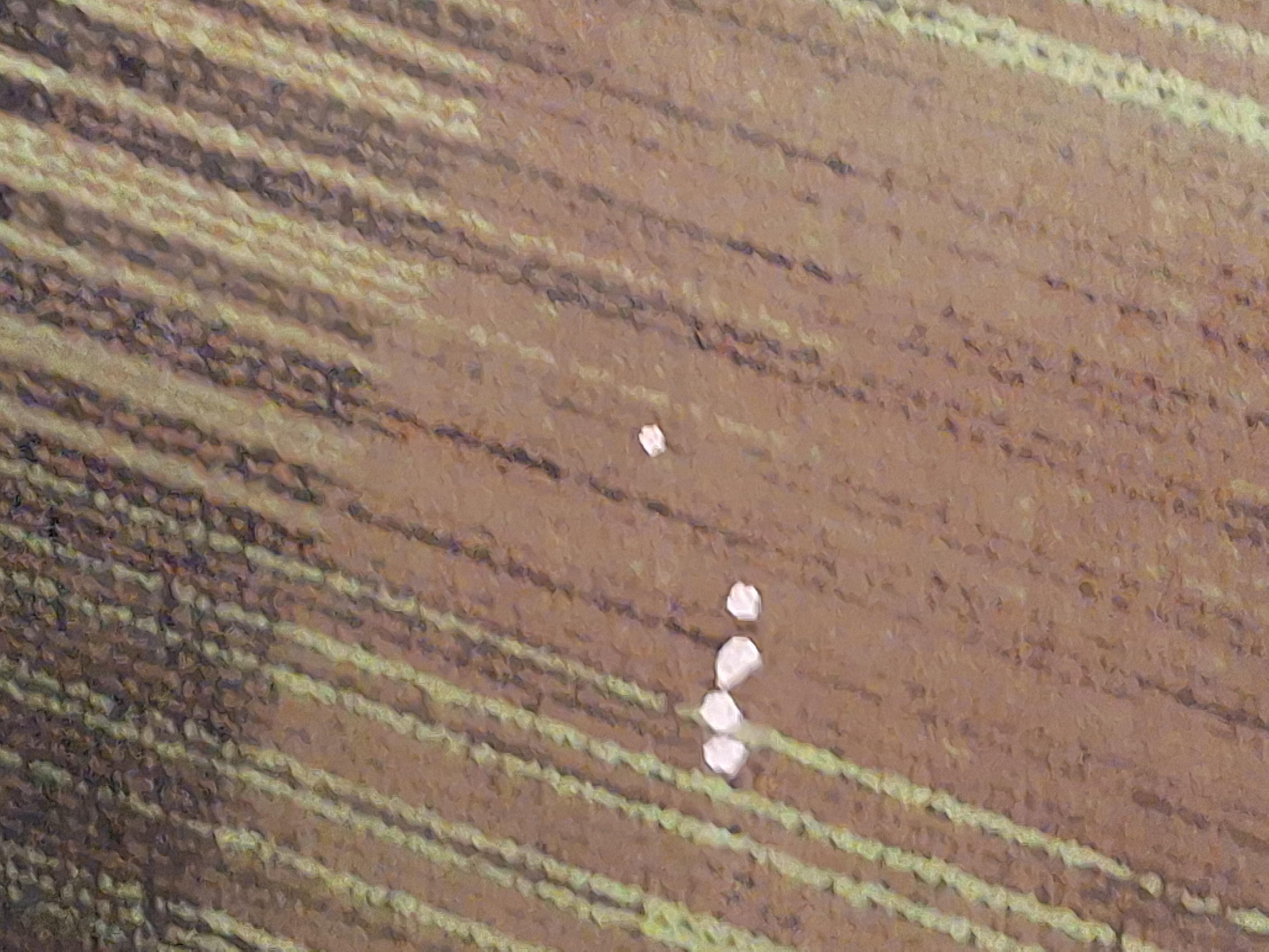 Stains in the carpet