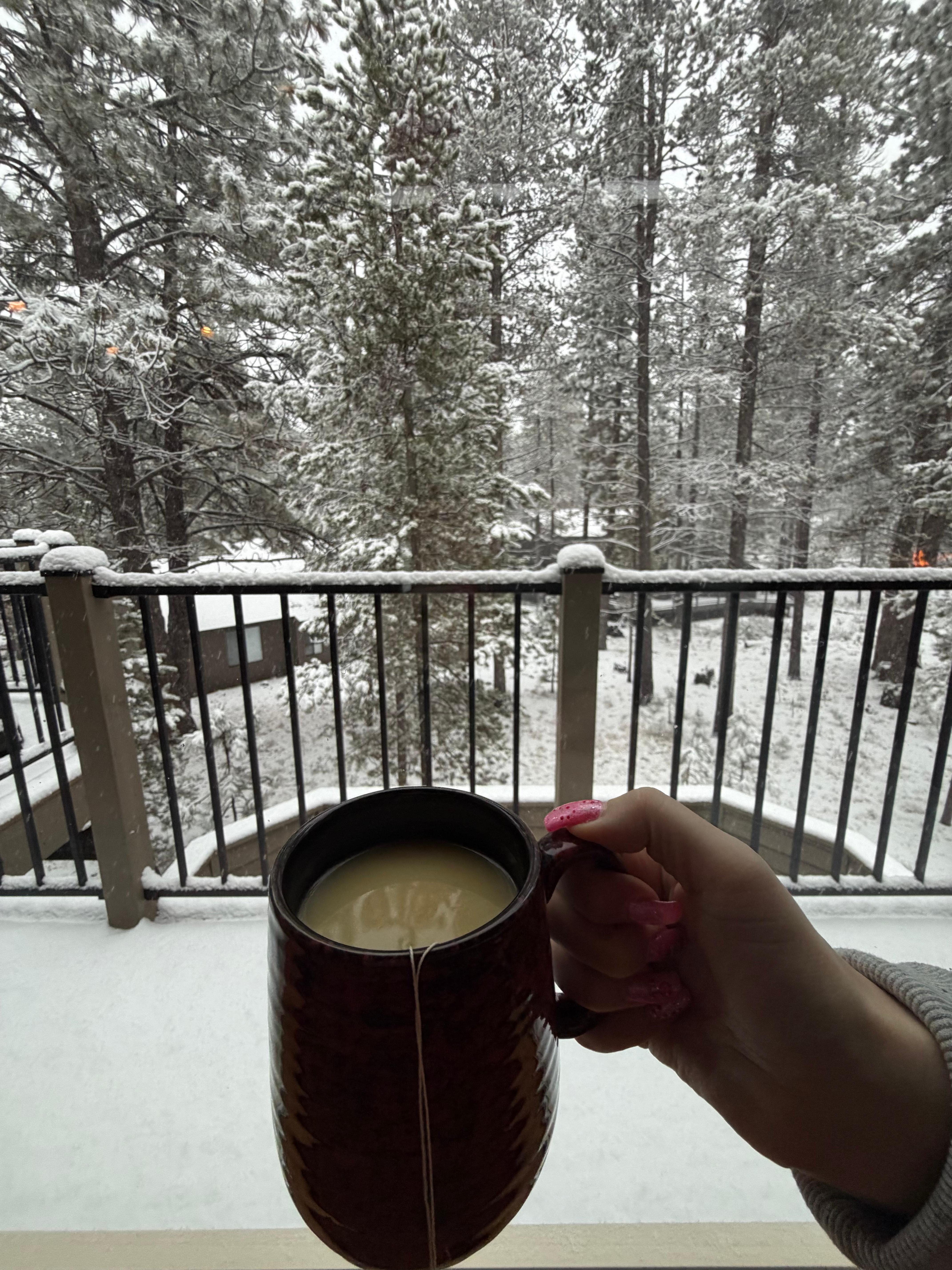Enjoyed a cup of hot tea while looking at the beautiful snow