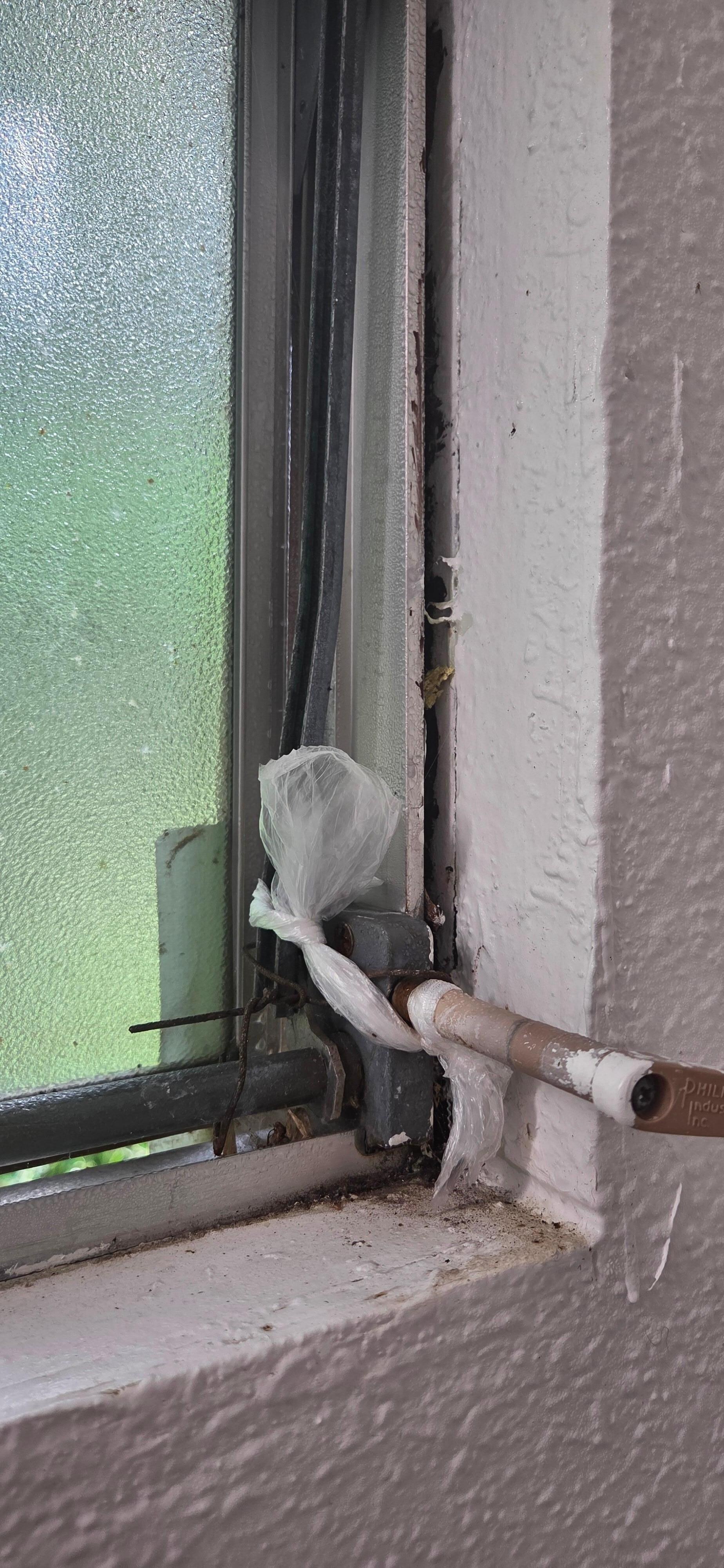 Plastic bag holding window shut