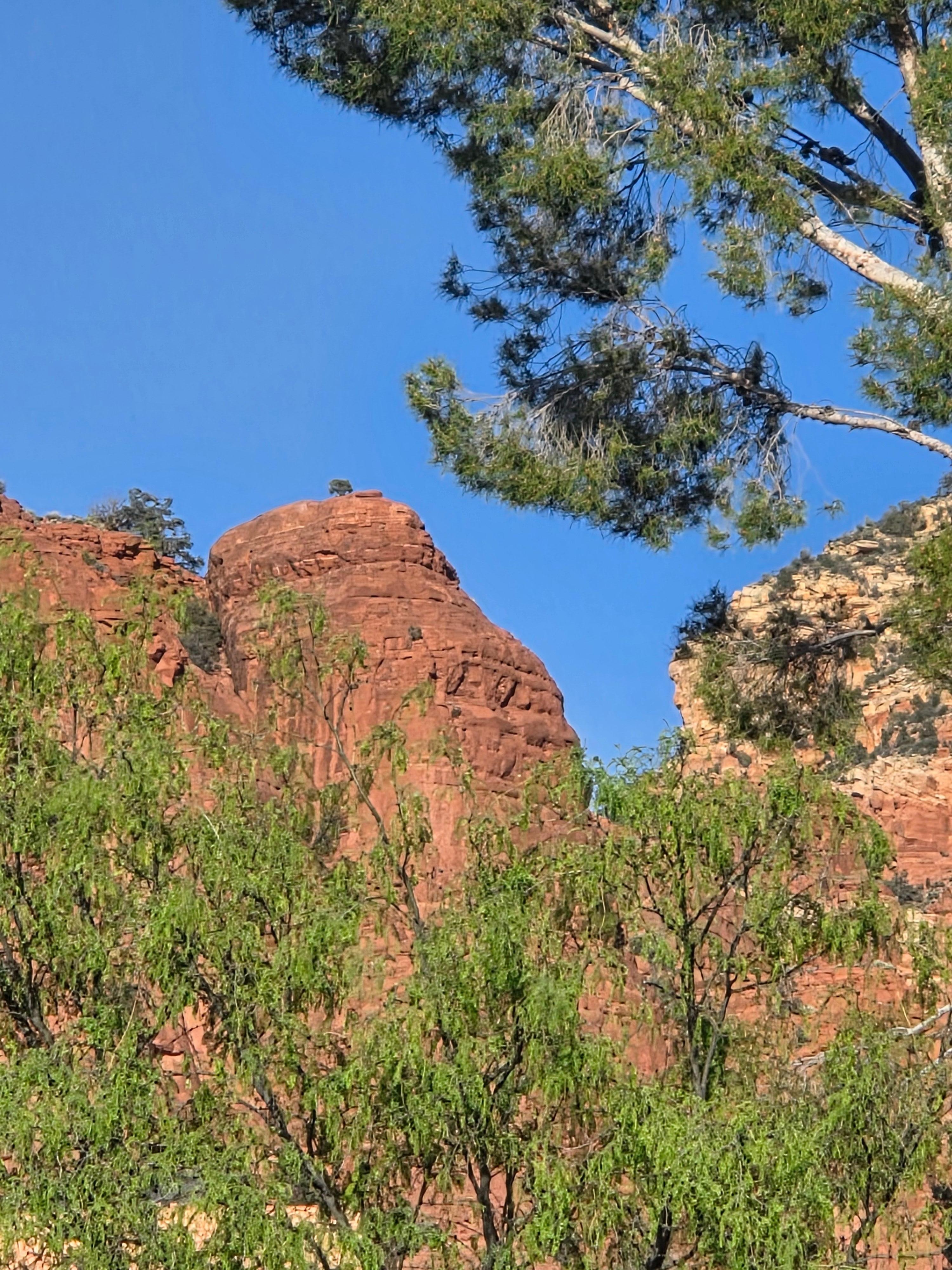 Taken from the patio. 