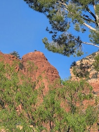 Taken from the patio.