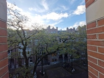 View from bedroom window