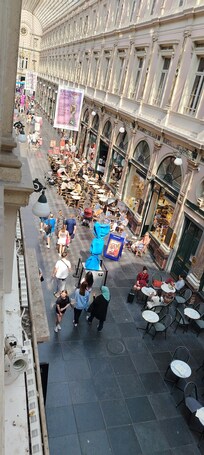 Vista desde la habitación