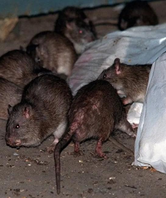 Right out side my window I scared to sleep 