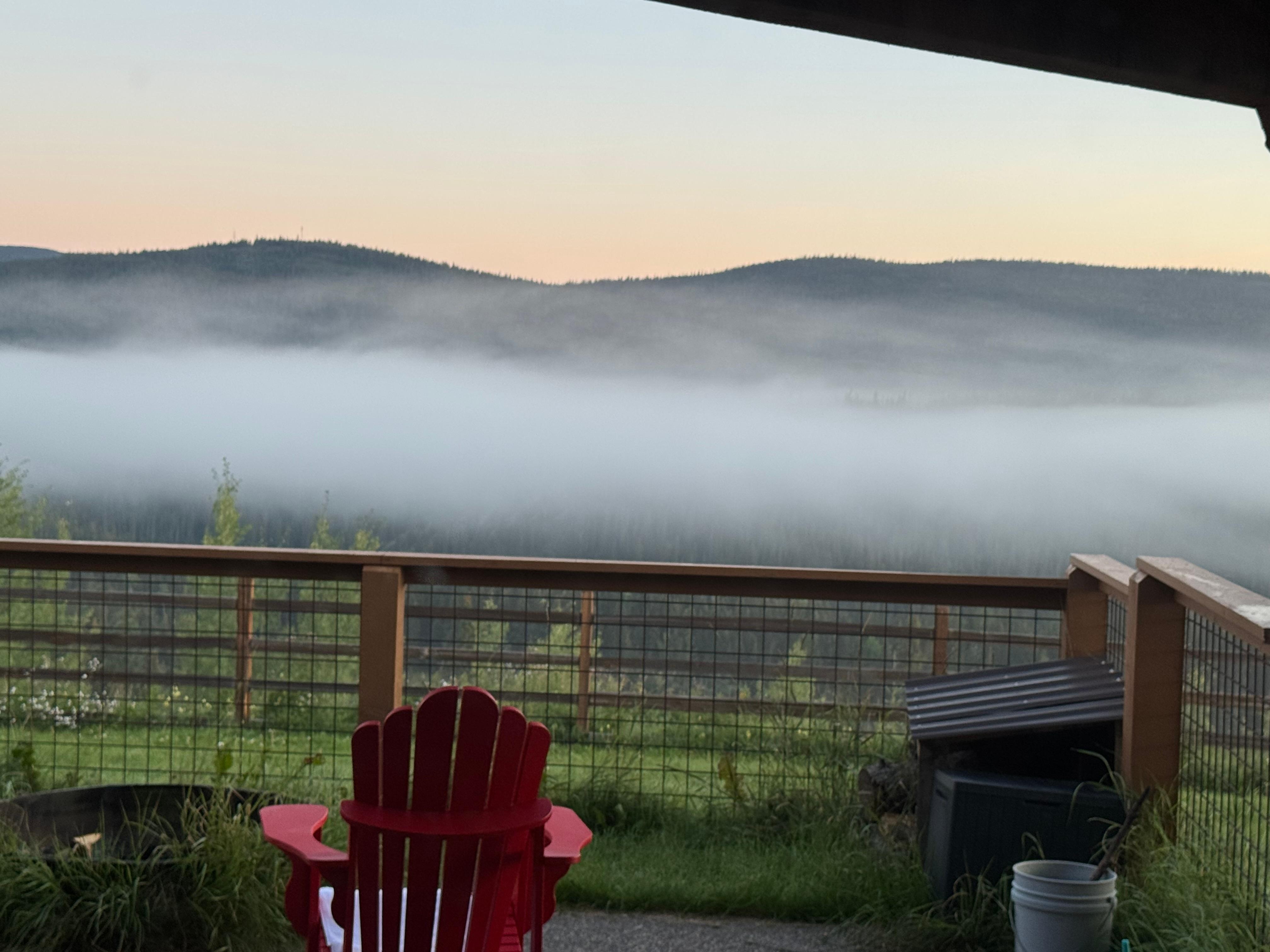 Morning on our private back space