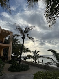 Photo from back yard courtyard.