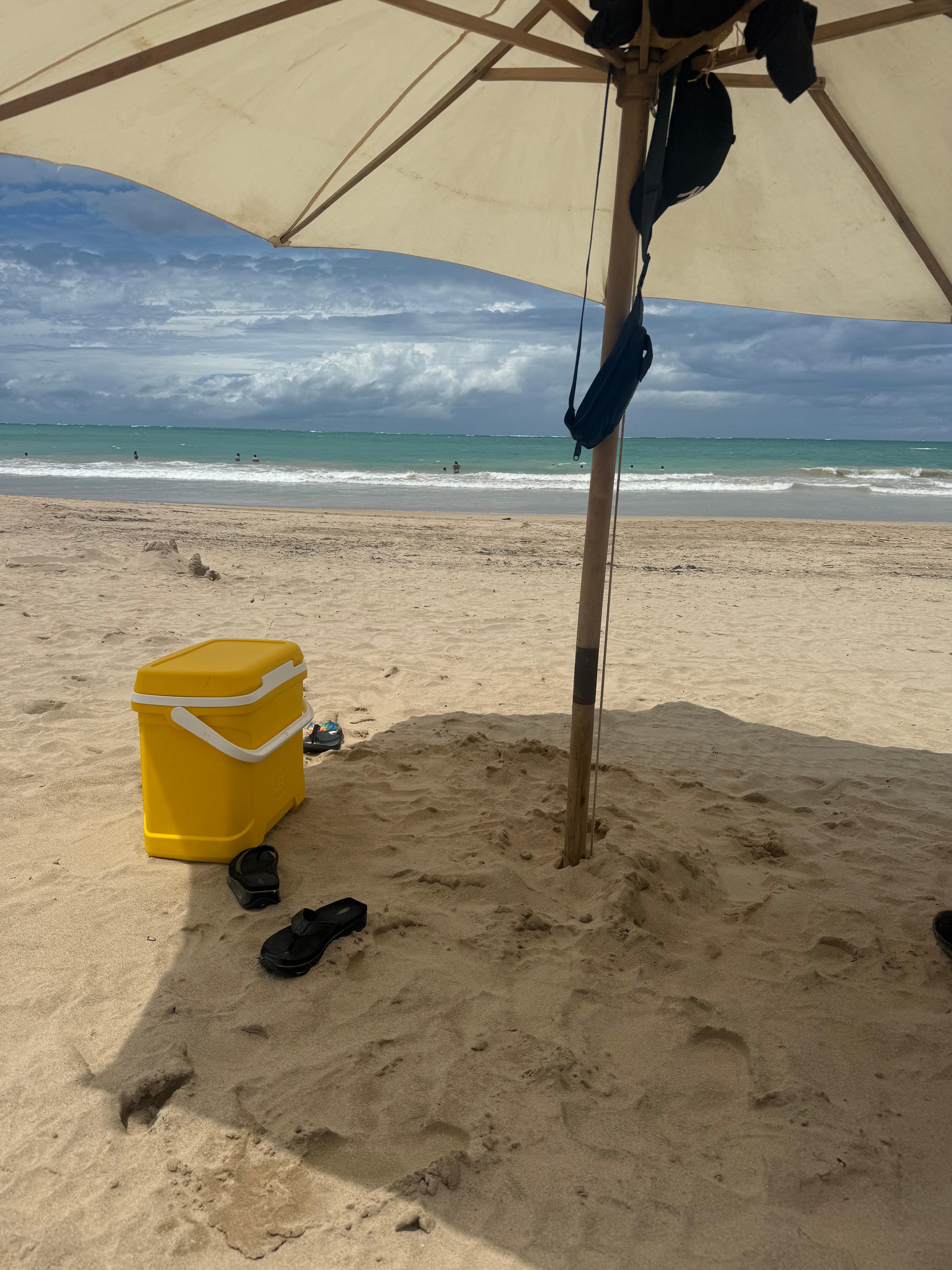 The beach 