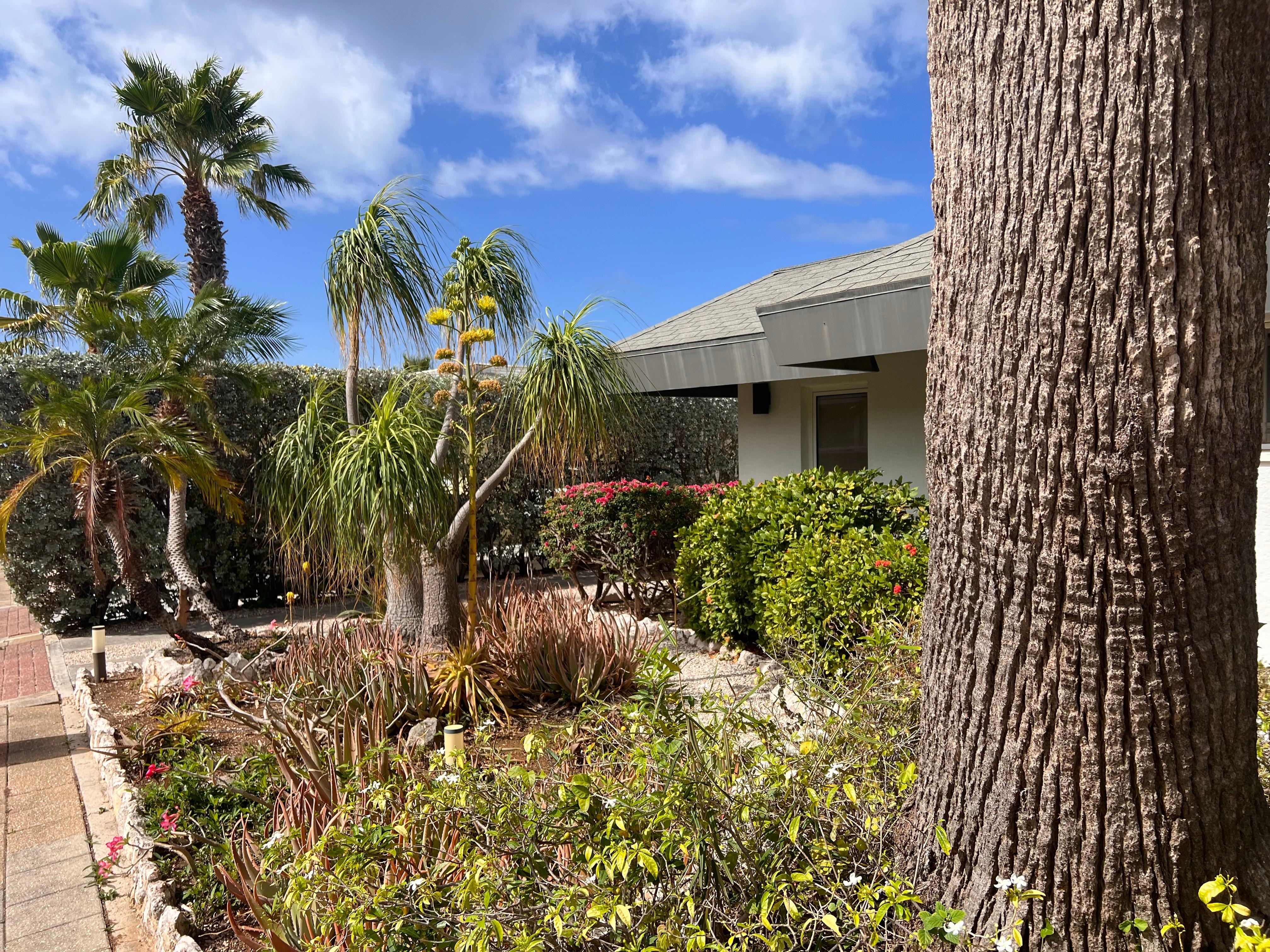 Sidewalk/ driveway side 