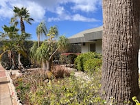 Sidewalk/ driveway side