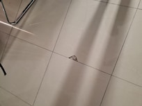 Cracked tiles on floor