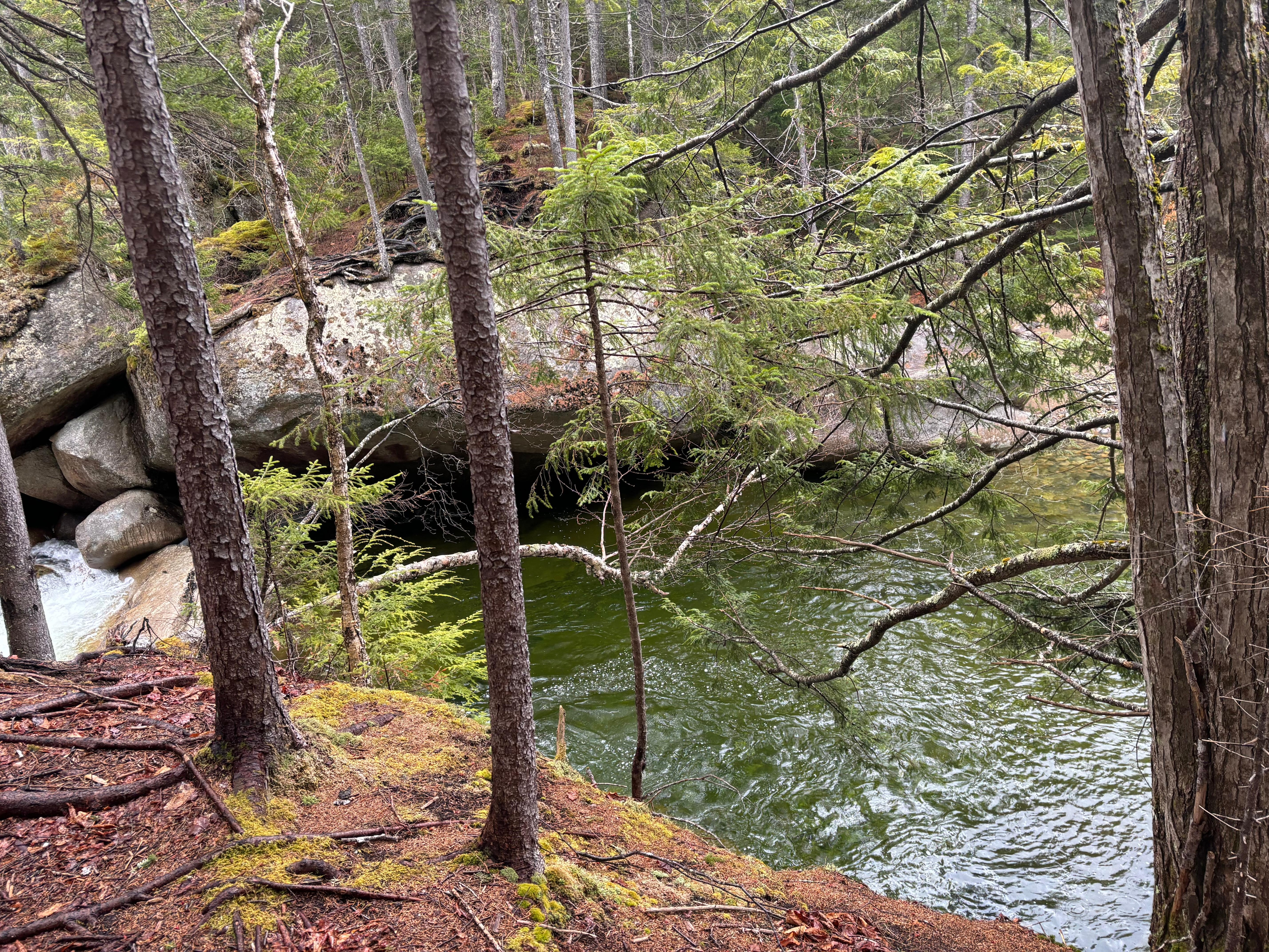 Trail near river