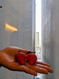 對外窗可以看見外頭行人,也很安全(只能推開一個小縫隙)