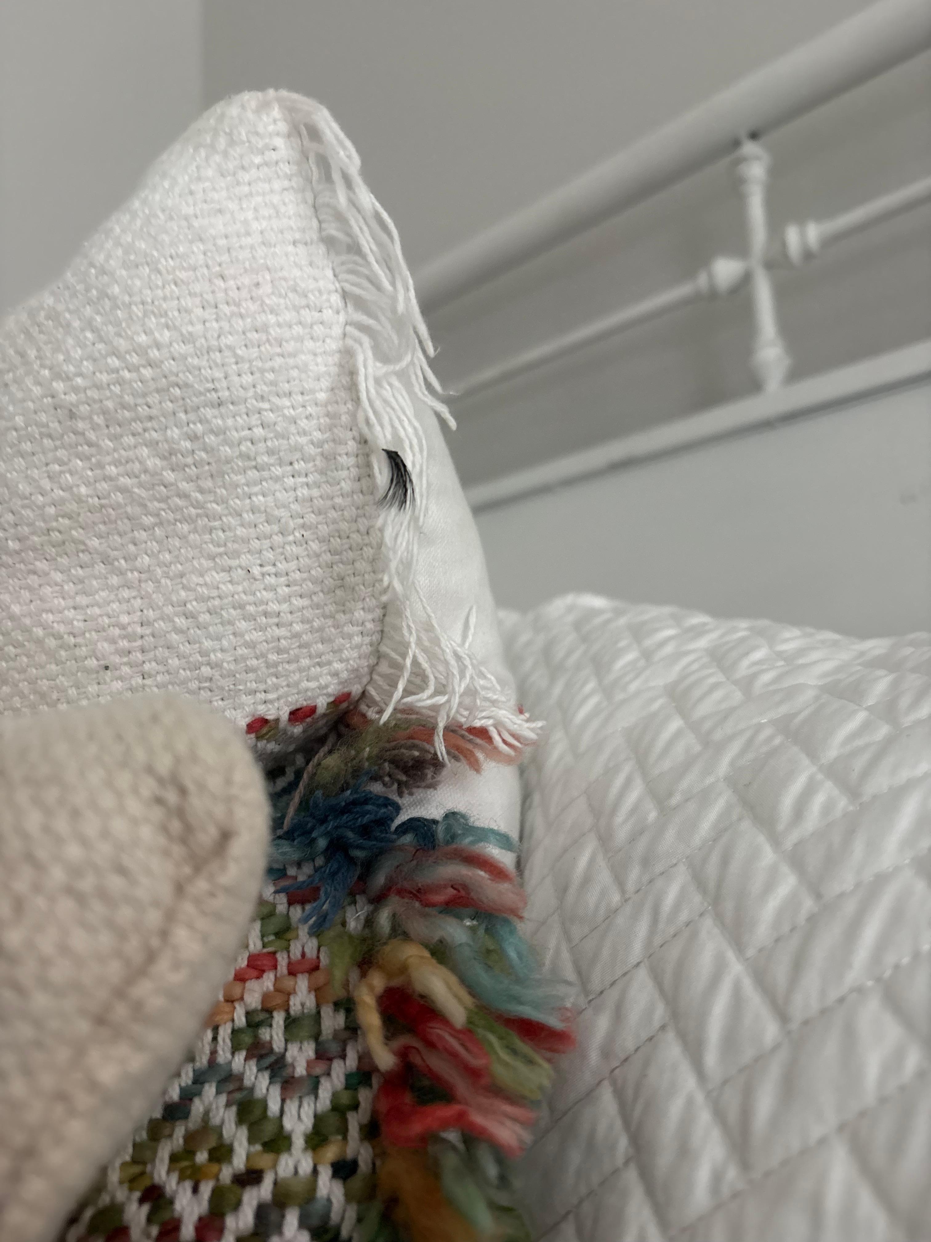 Fake eyelashes on pillow 