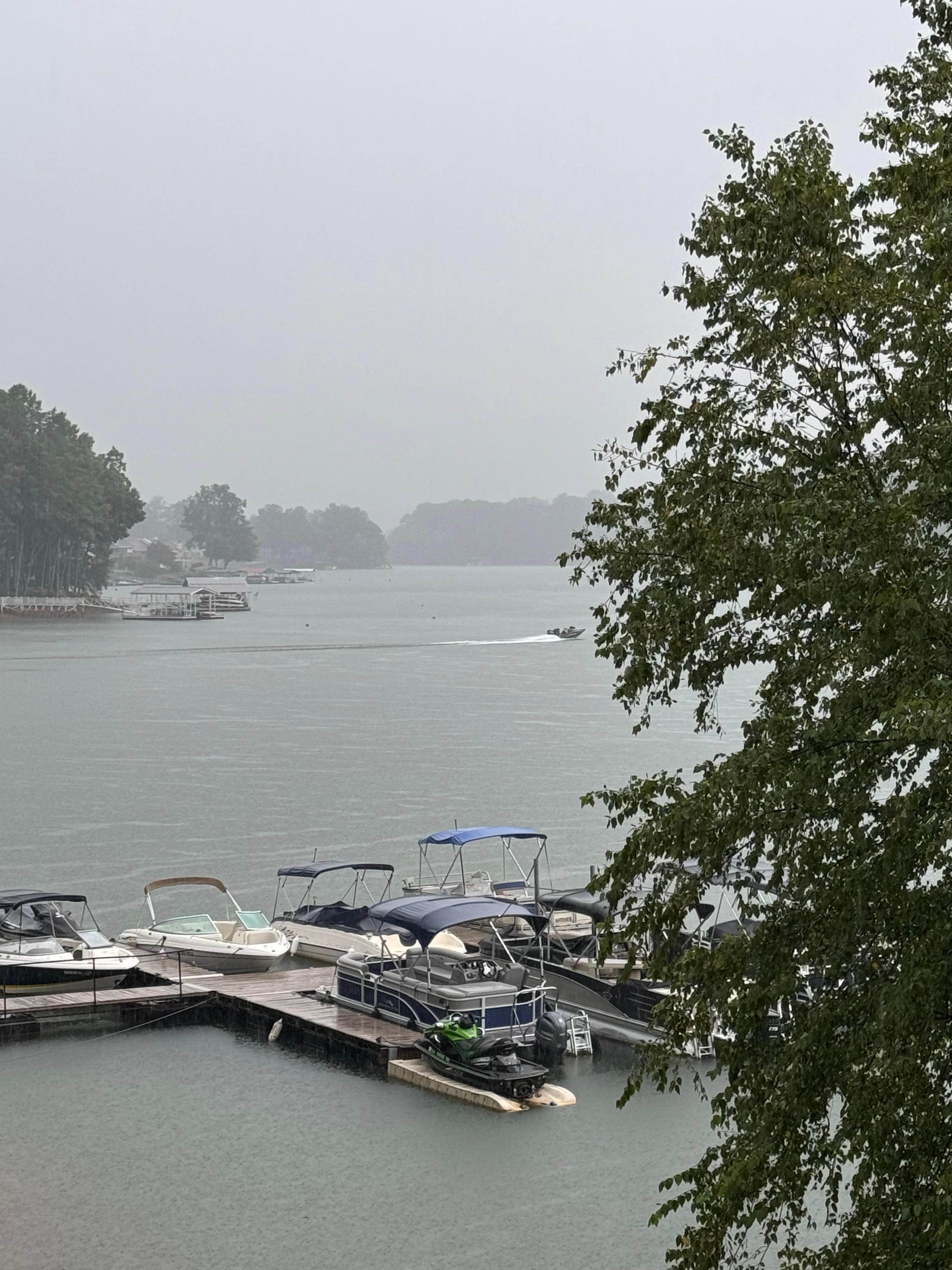 Even a rainy view is pleasant when you have a dry, comfy place to watch life pass by. 