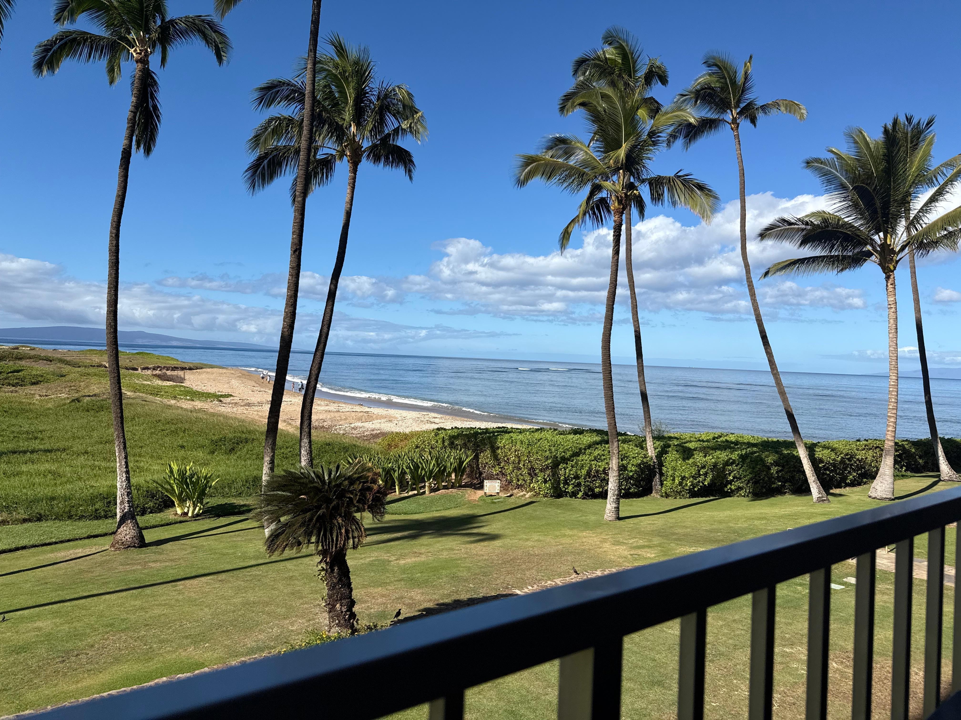 Beach/ocean from the unit. 