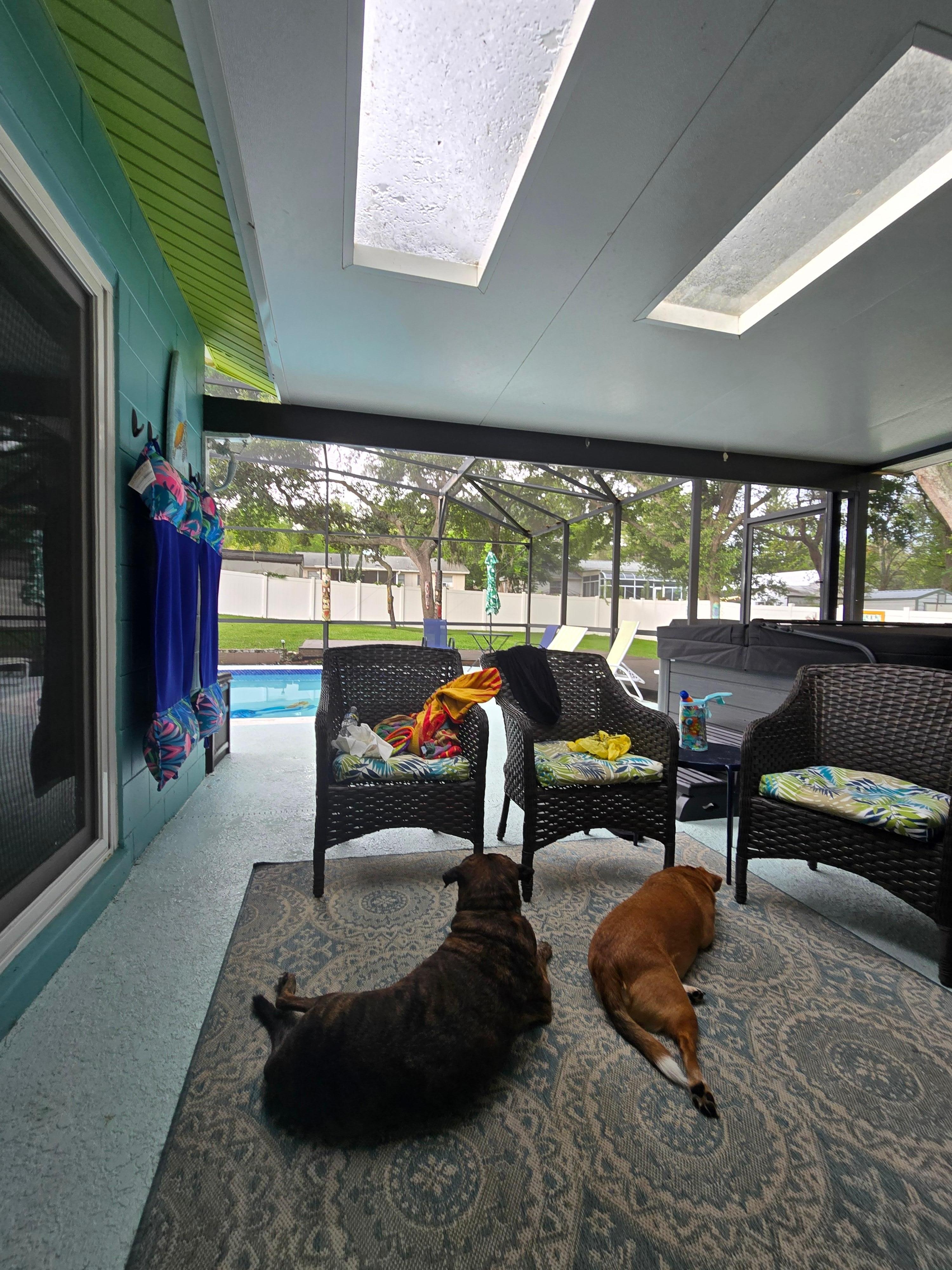 Sitting in the little sitting area looking at the backyard