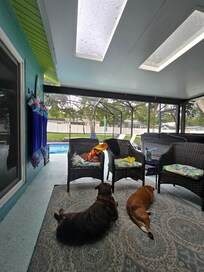 Sitting in the little sitting area looking at the backyard