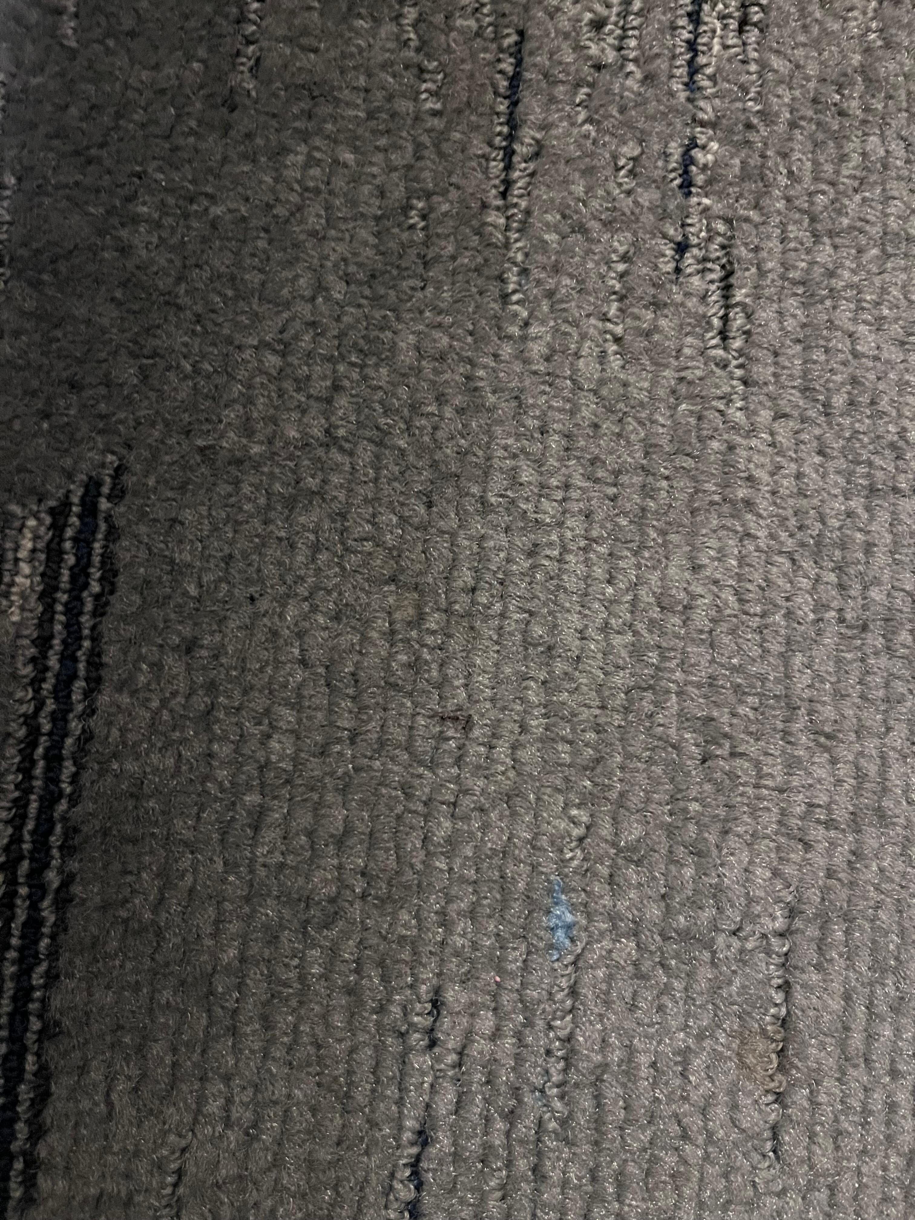 Ants hiding in carpet