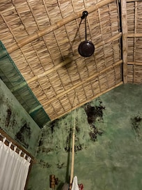 Palm ceiling
