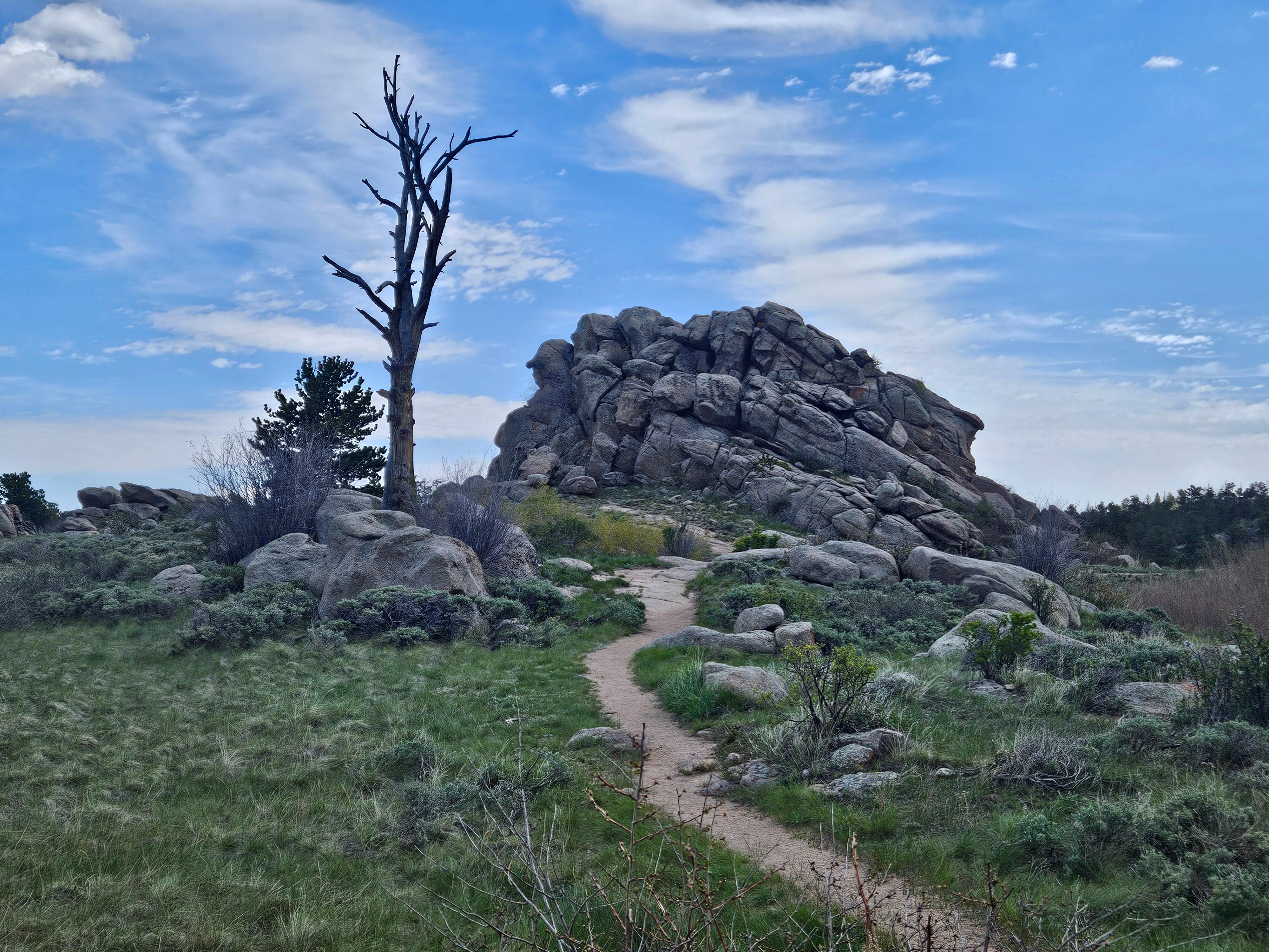 Lake Dowdy trail
