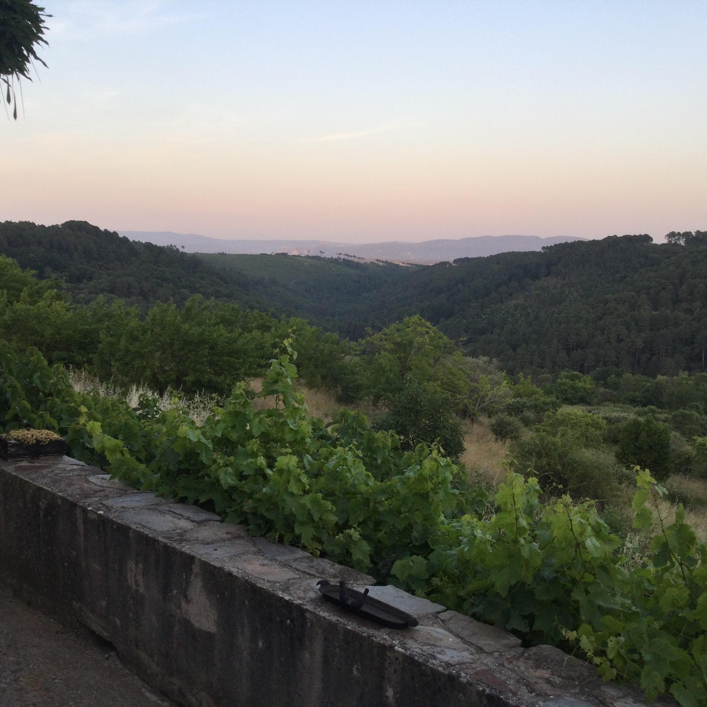  Vue de la terrasse du gite
