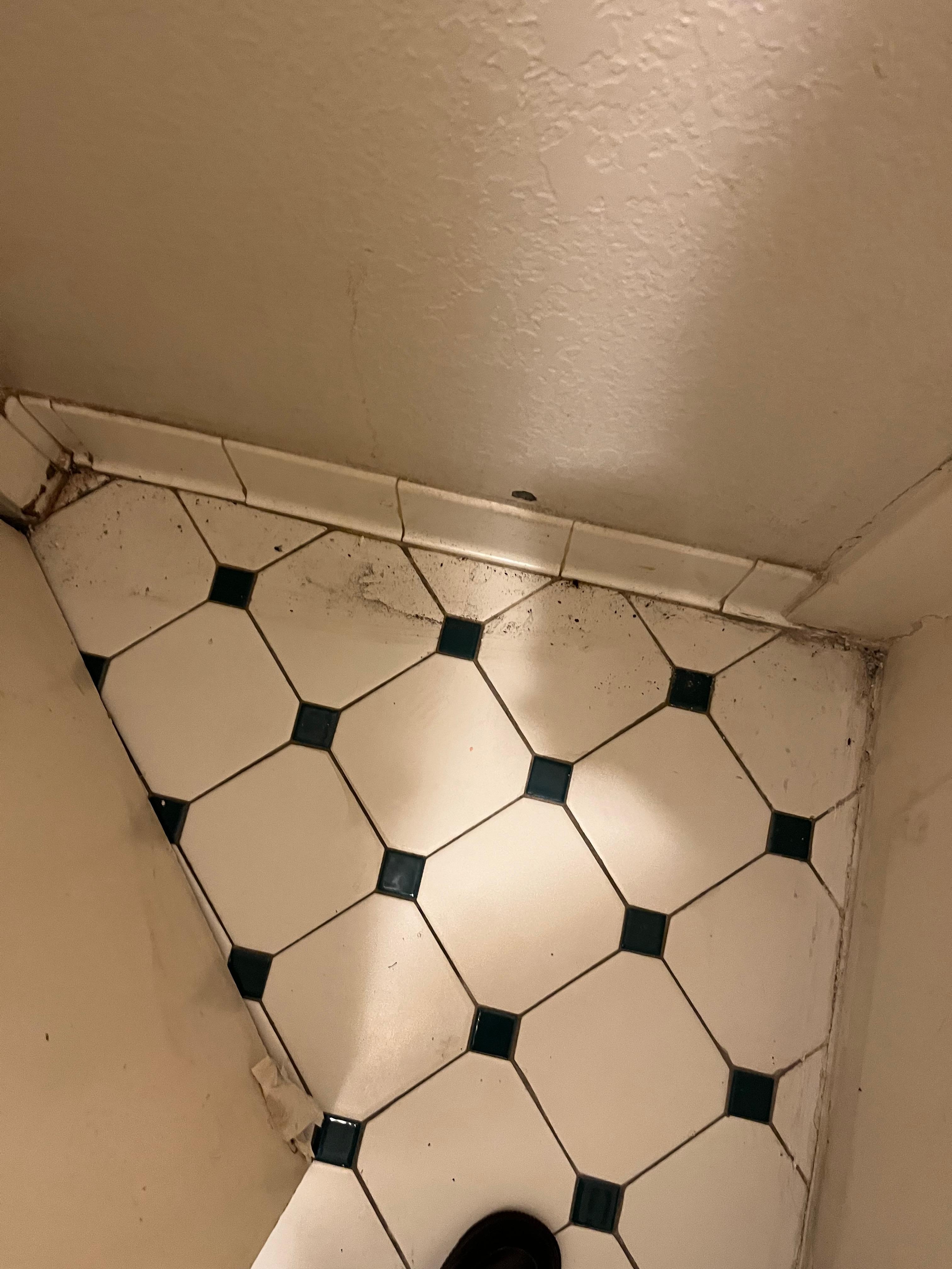 Floor dirty in bathroom 