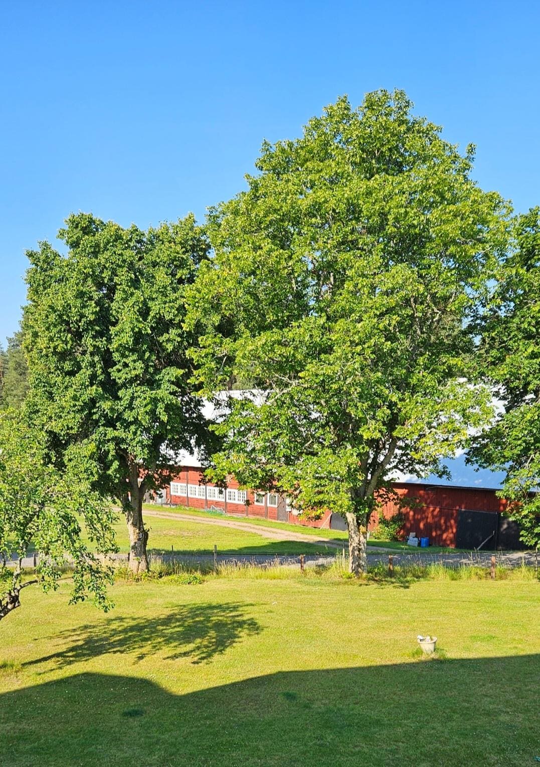 Utsikt från ett rumsfönster