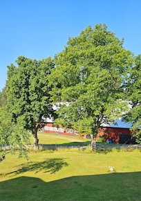 Utsikt från ett rumsfönster