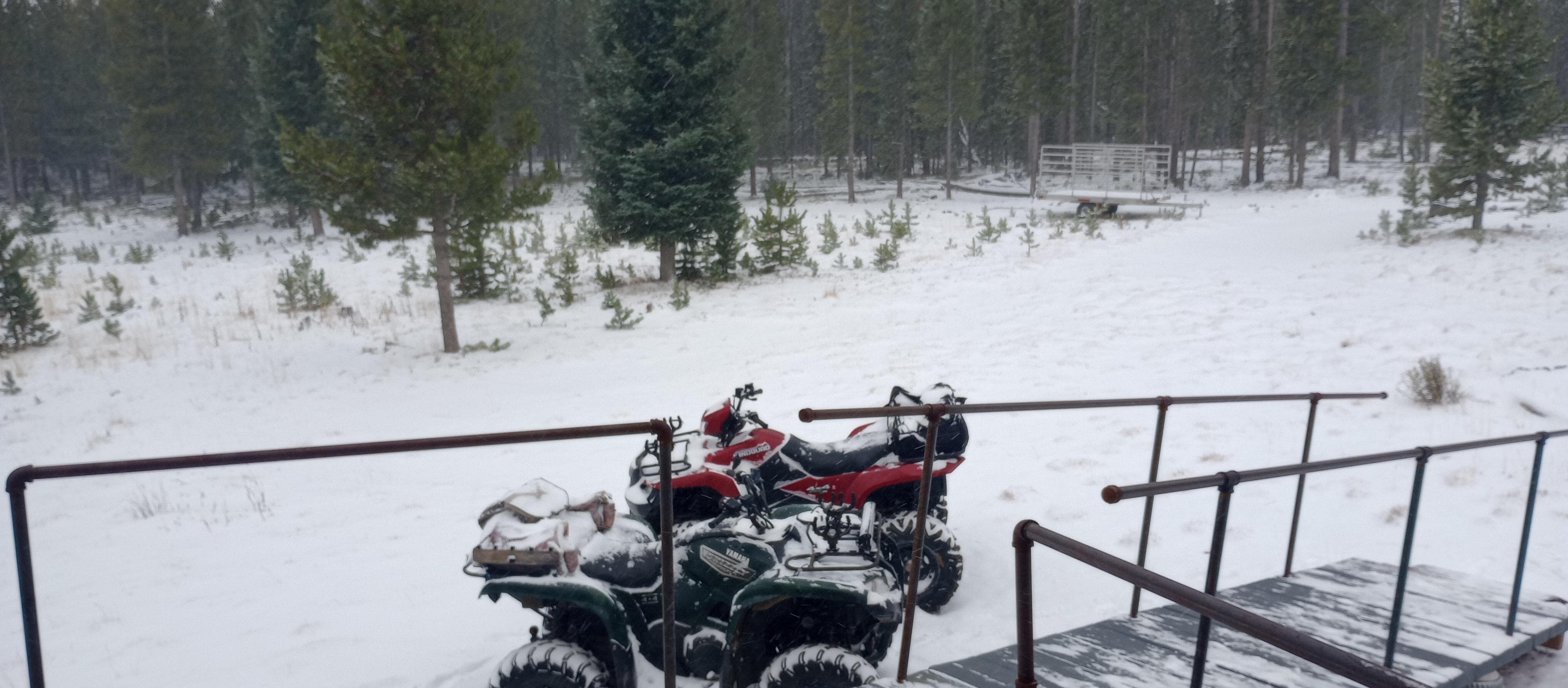 Snow most mornings during the hunt.