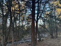 The back of the property by the fire pits.