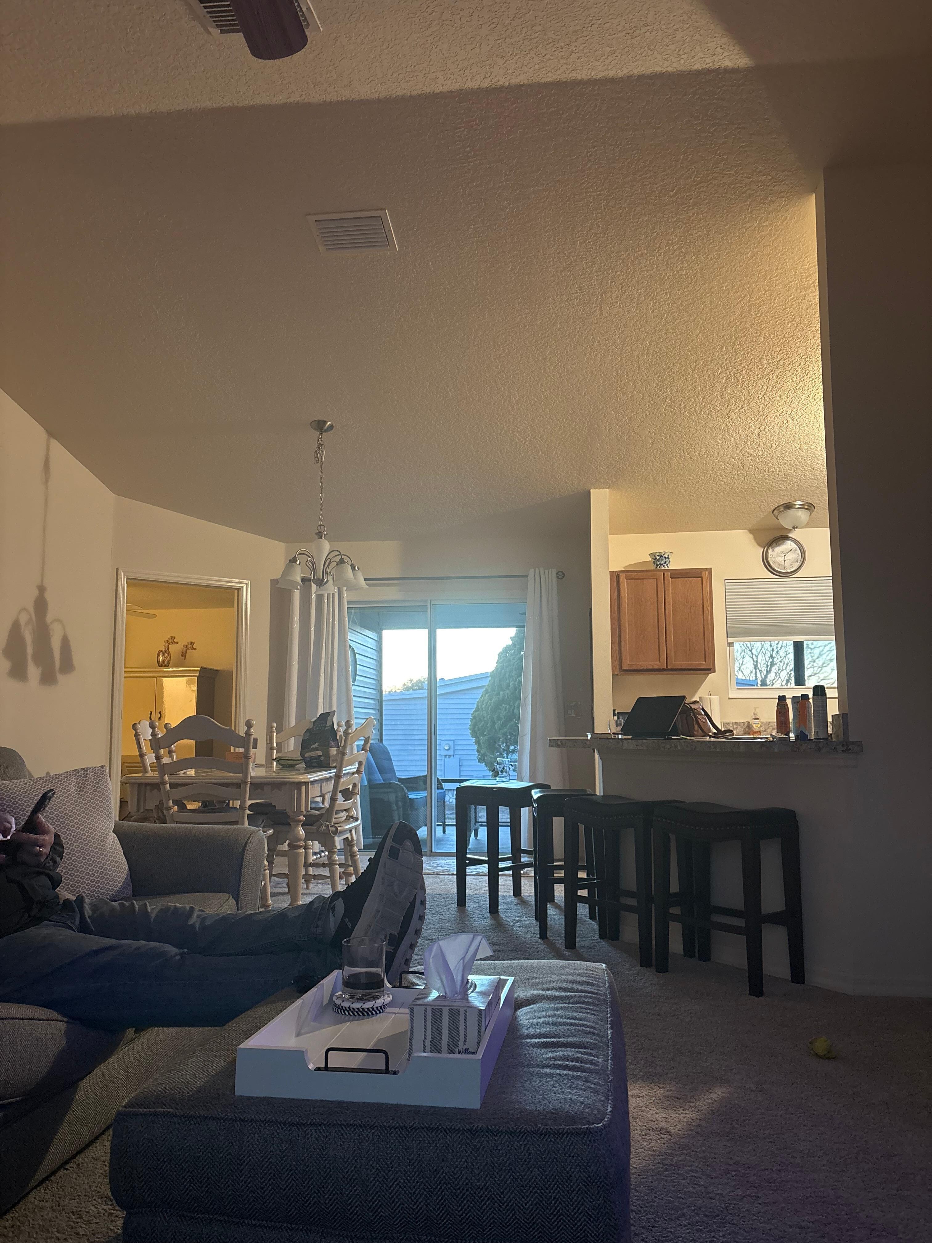 View from living room sectional