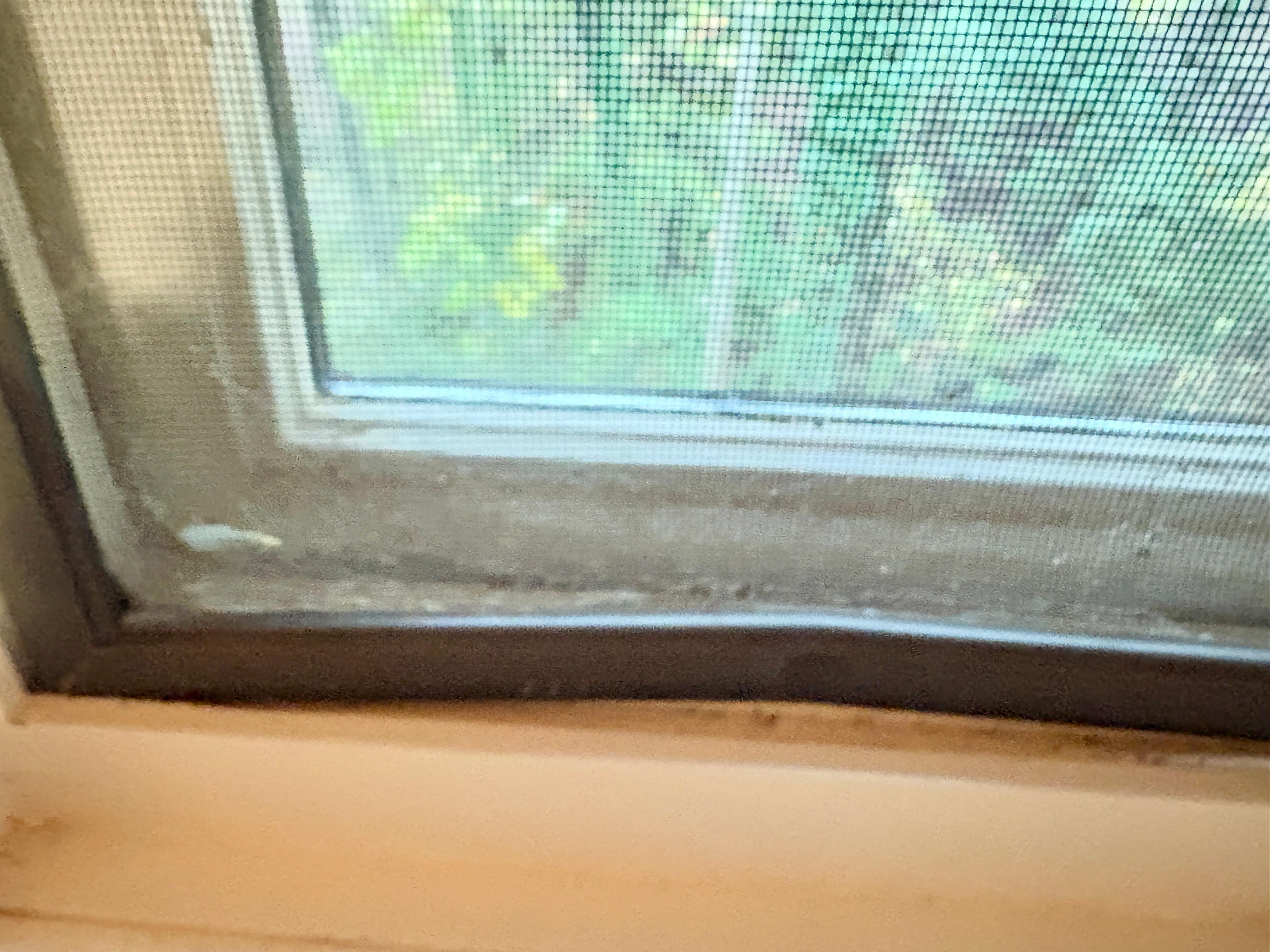 Typical window ledge throughout. Dirty. Some not able to open or completely close