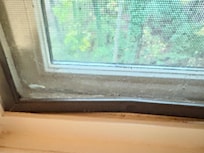 Typical window ledge throughout. Dirty. Some not able to open or completely close