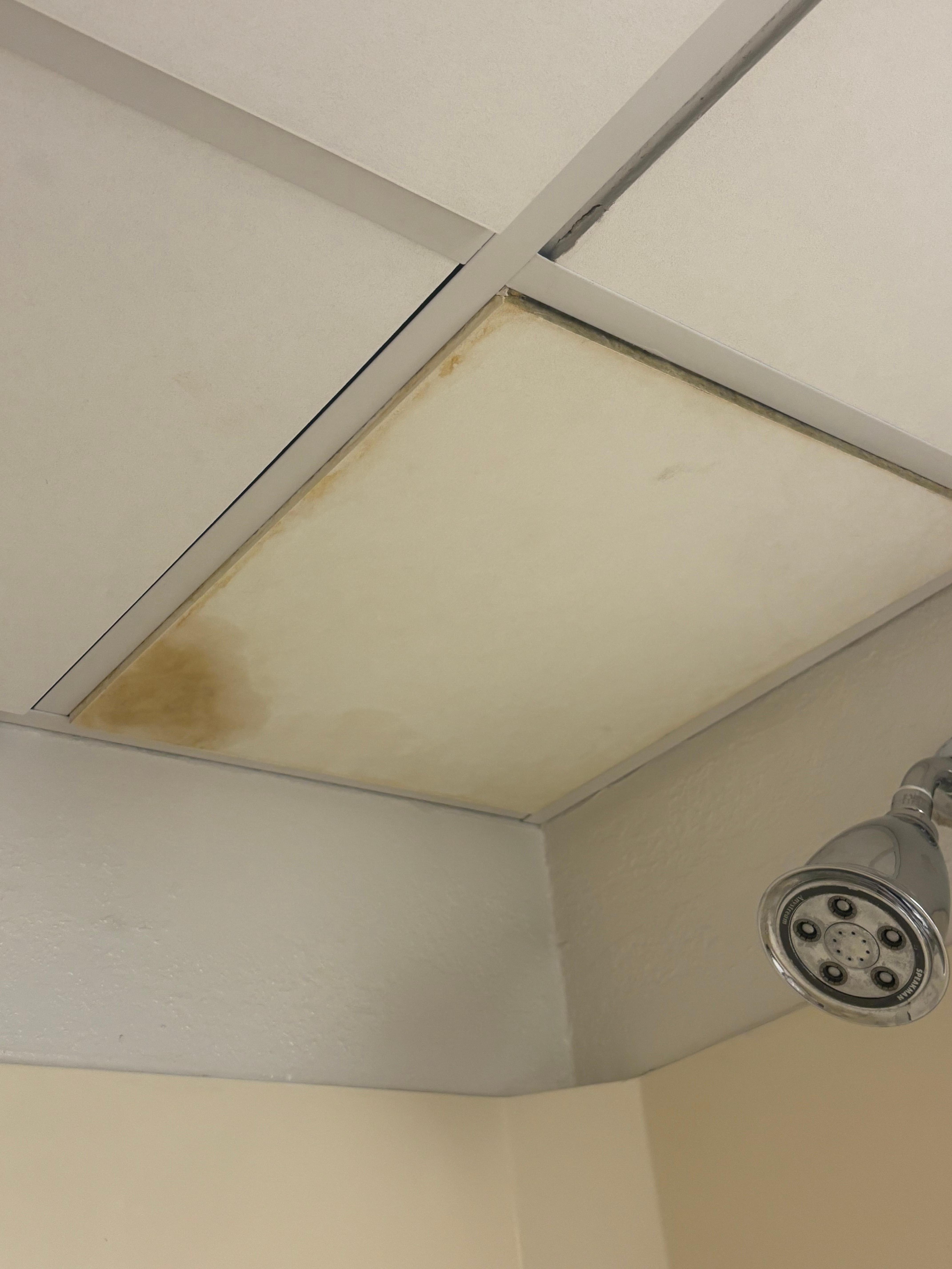 Gross tiles above shower 