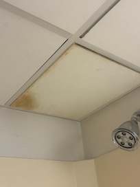 Gross tiles above shower