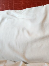 Curly black hair on our bed sheets. My wife is blonde and I don't have hair.