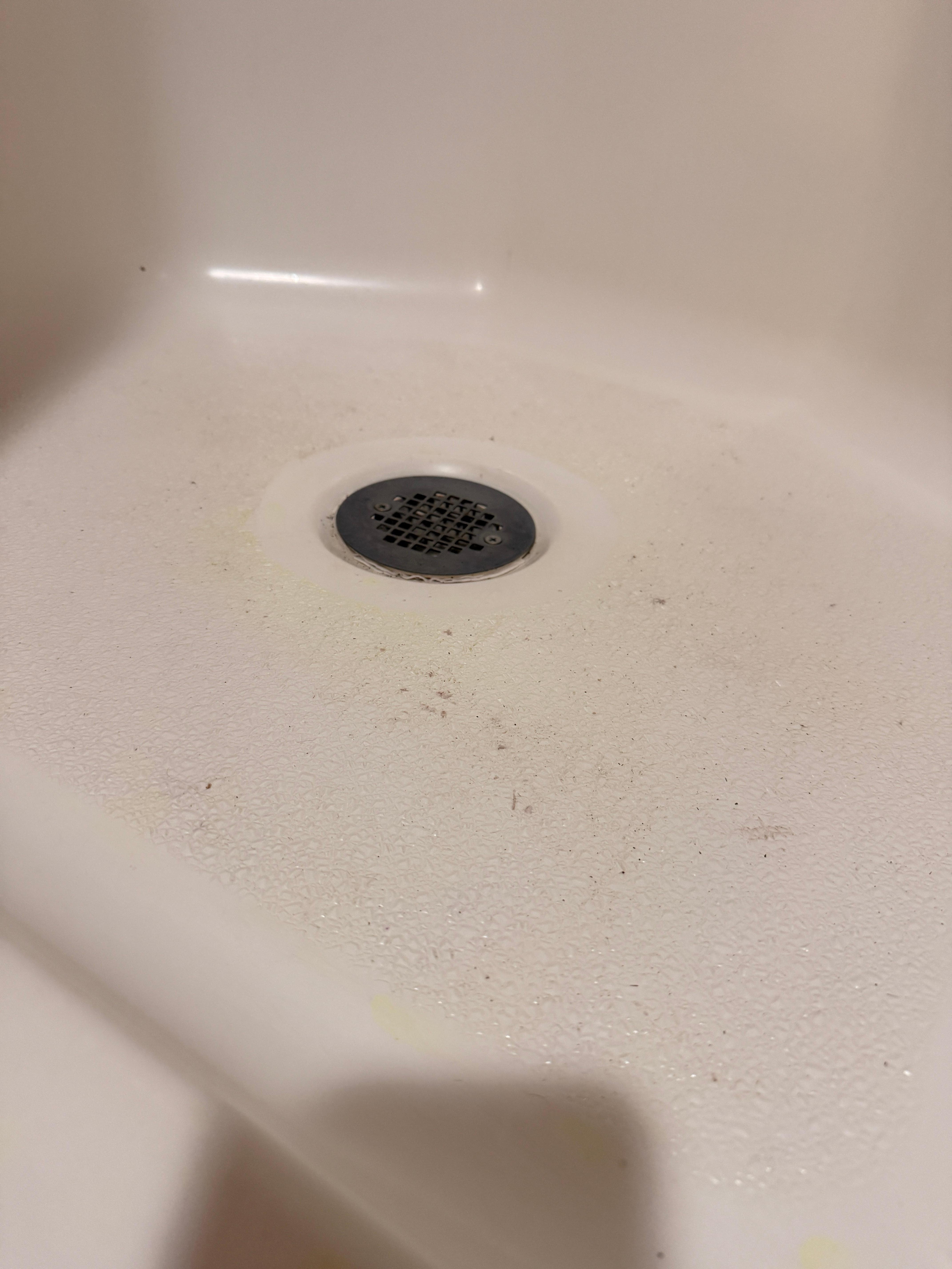 I’m pretty sure the host just squirted a bit of the yellow, watered down dawn that was provided on the floor. I cleaned the floor with just a bit of elbow grease.