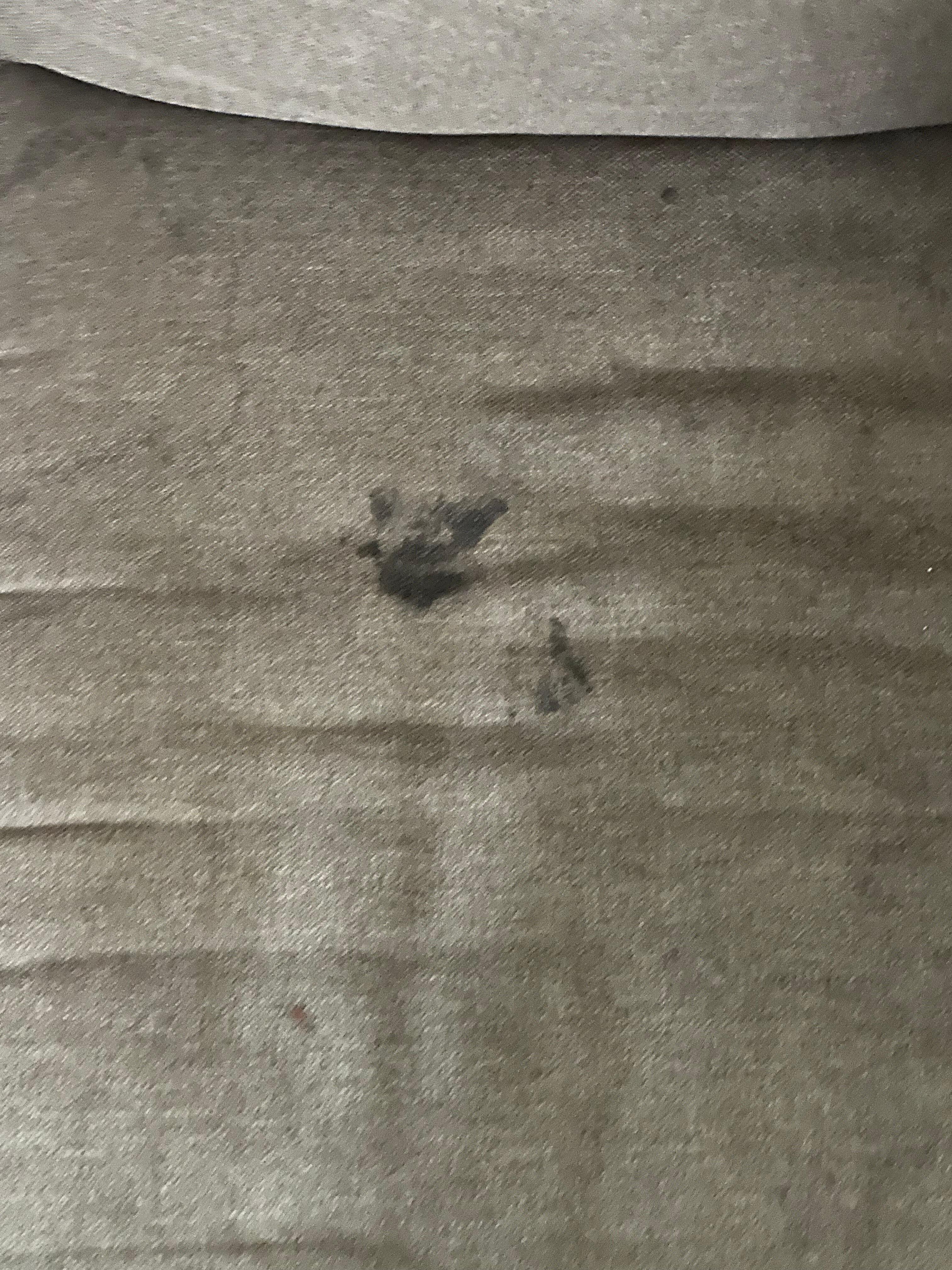 stains on the couch
