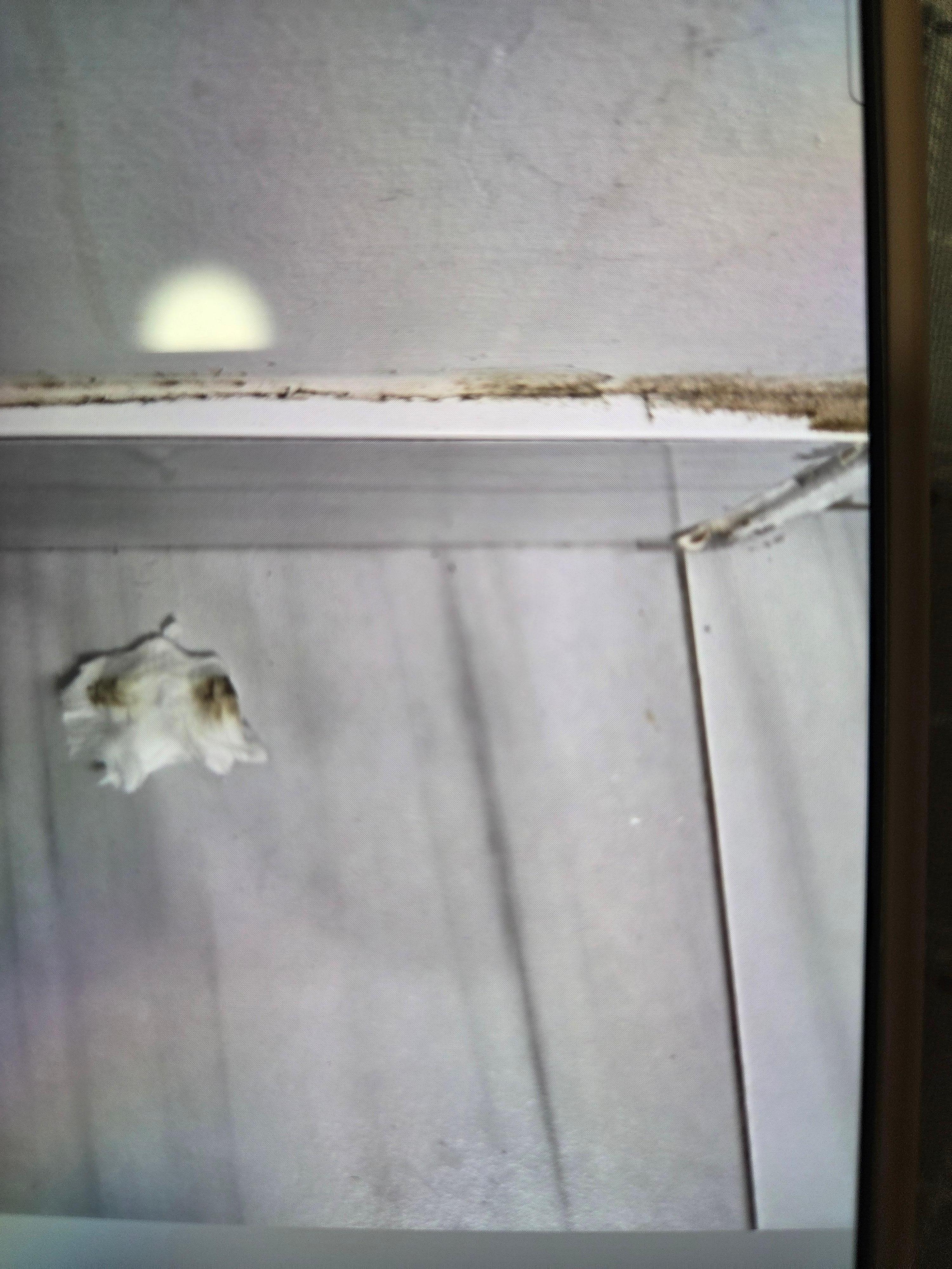 Bathroom i just wiped tiny part and othet baseboard  dirty rest clean in here